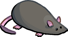 Picture of Rat, Althea's stuffed rat.